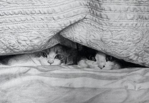 Done with blended charcoal on paper, the drawing shows two cats, Miles and Luna, peeking out from under a textured blanket. The light values of the blanket contrast with the darker, shadowed values of the two hiding cats.